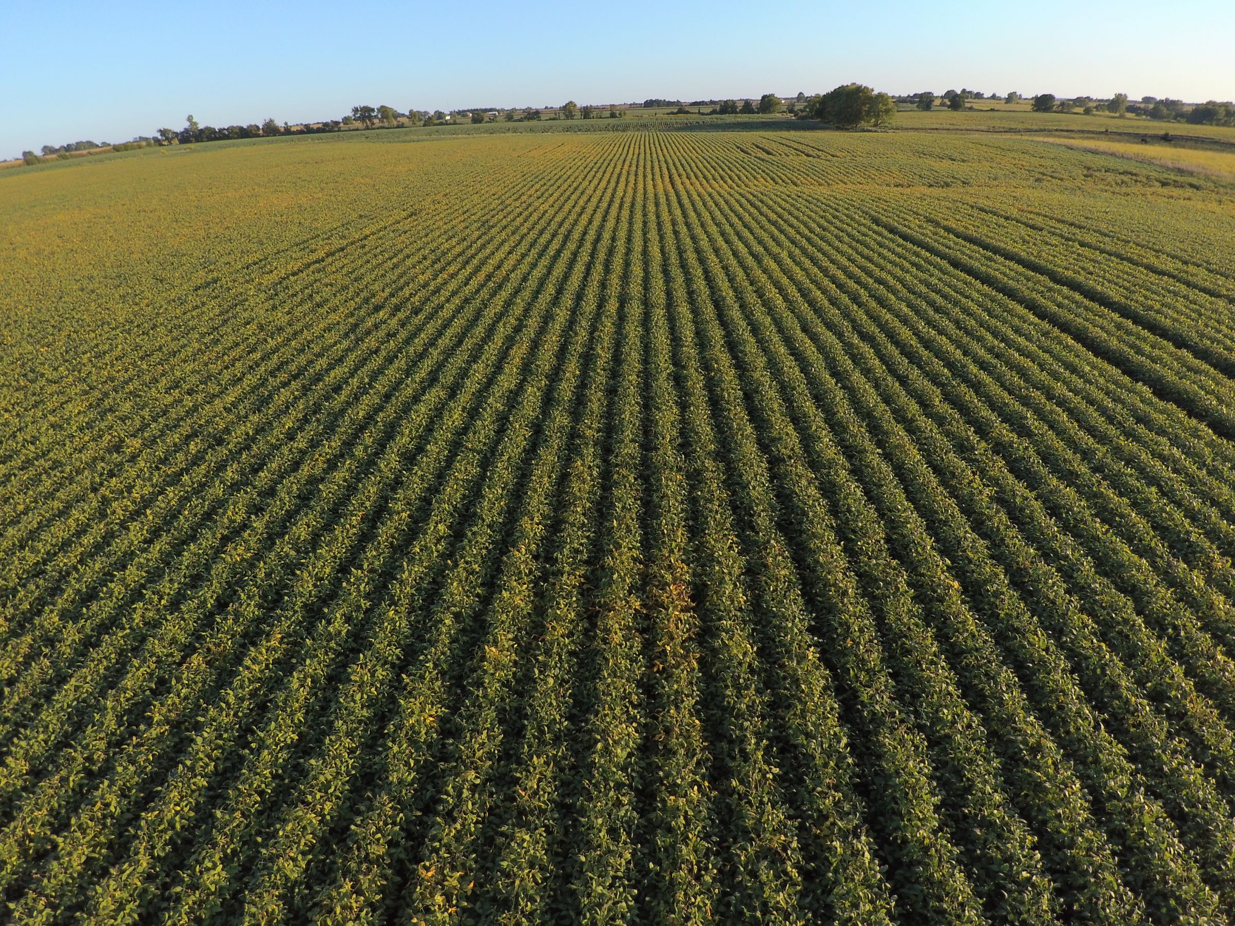 PeoplesCompany-Farmland Auction in Clarke County IA-Elk Street Osceola