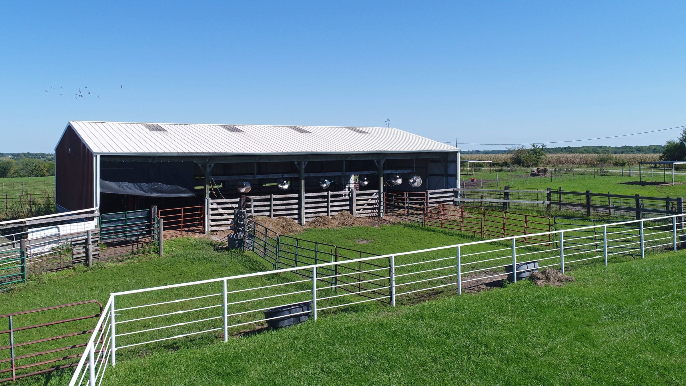 PeoplesCompany-FarmLand in Wayne County IA- 1679 128th Street Corydon.jpg