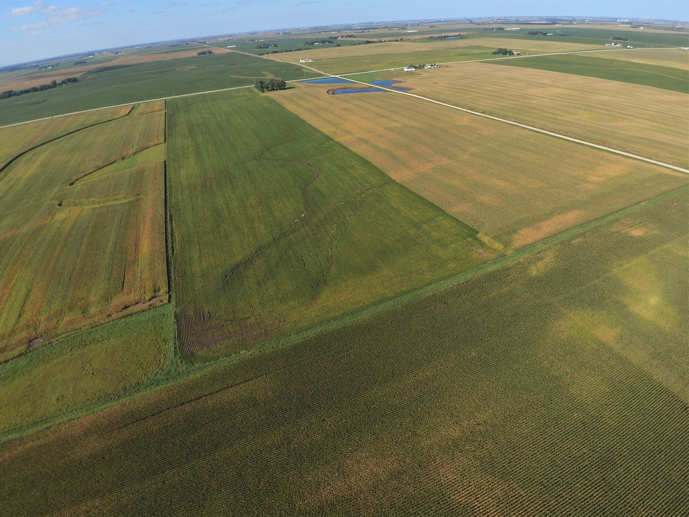 PeoplesCompany-Farmland in Hamilton County-IA-Kantor-Ave-5