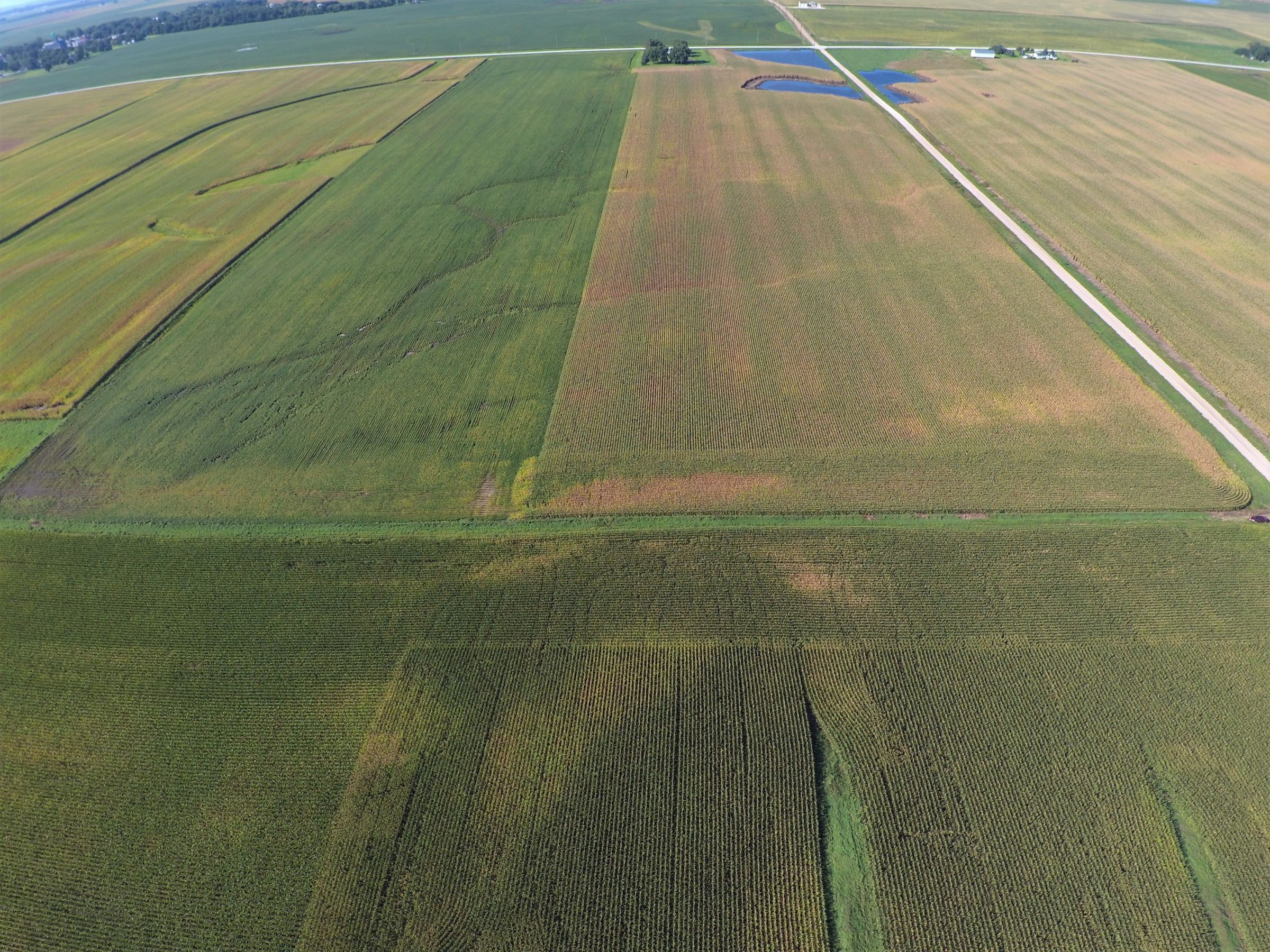 PeoplesCompany-Farmland in Hamilton County-IA-Kantor-Ave-6