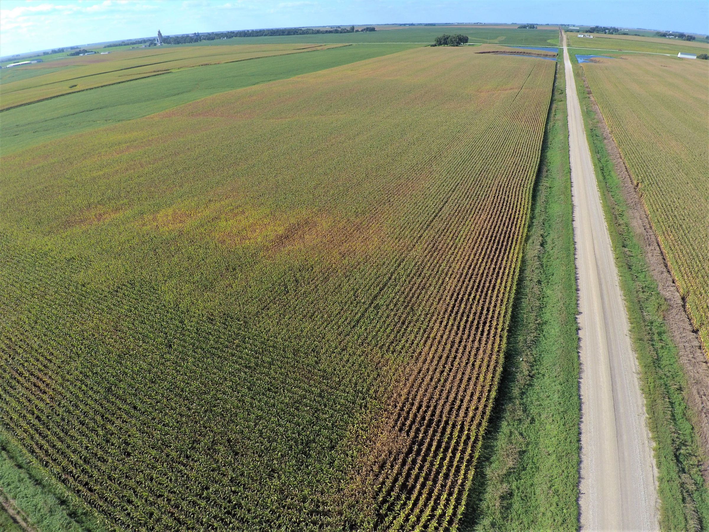 PeoplesCompany-Farmland in Hamilton County-IA-Kantor-Ave-4