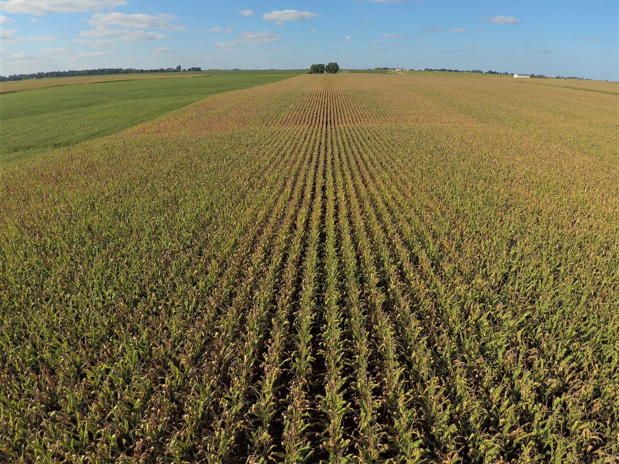 PeoplesCompany-Farmland in Hamilton County-IA-Kantor-Ave-1