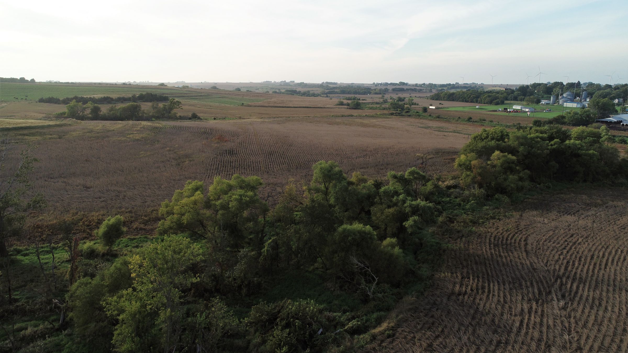 Cass County Iowa Farmland Photo 3