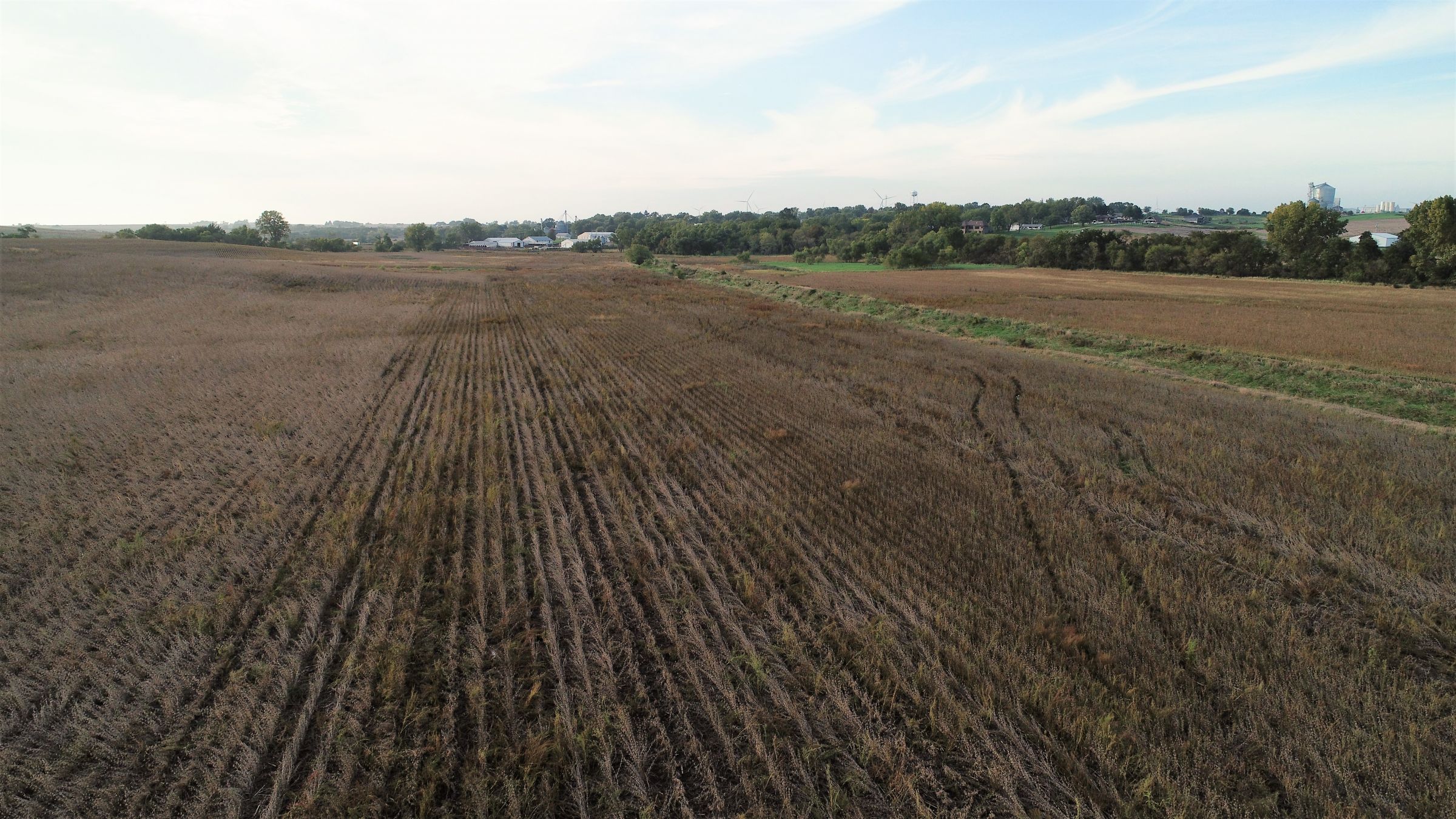 Cass County Iowa Farmland Photo 4