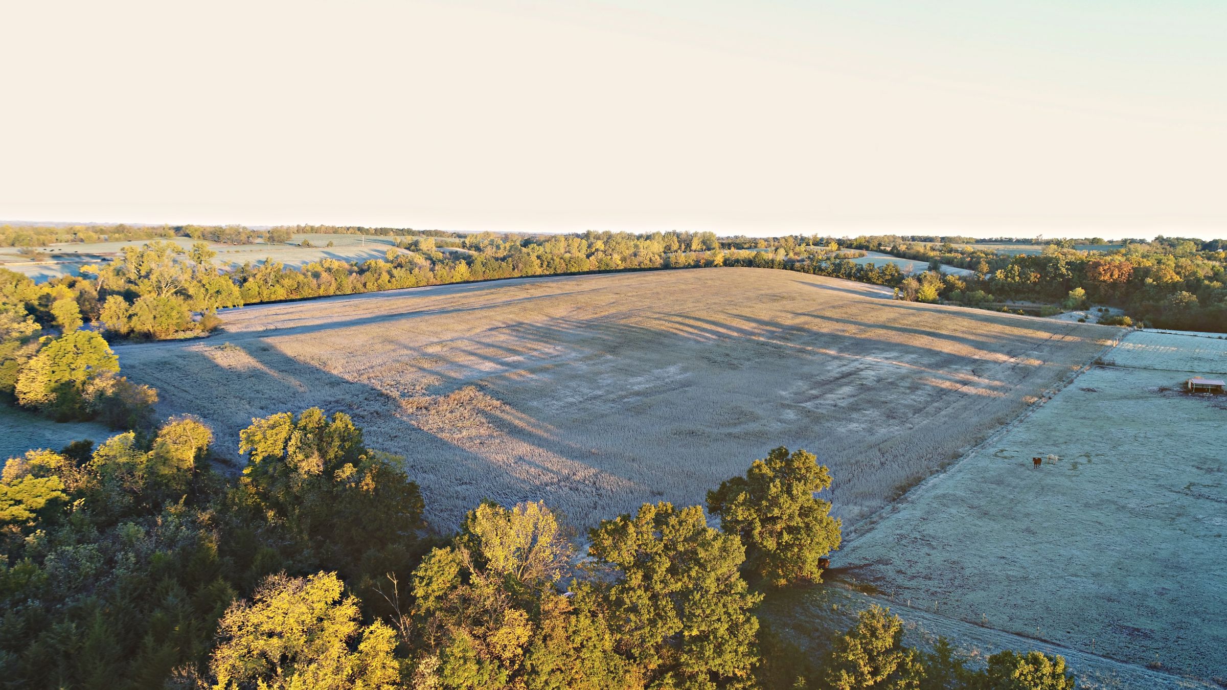 Gentry County, Missouri Farmland For Sale