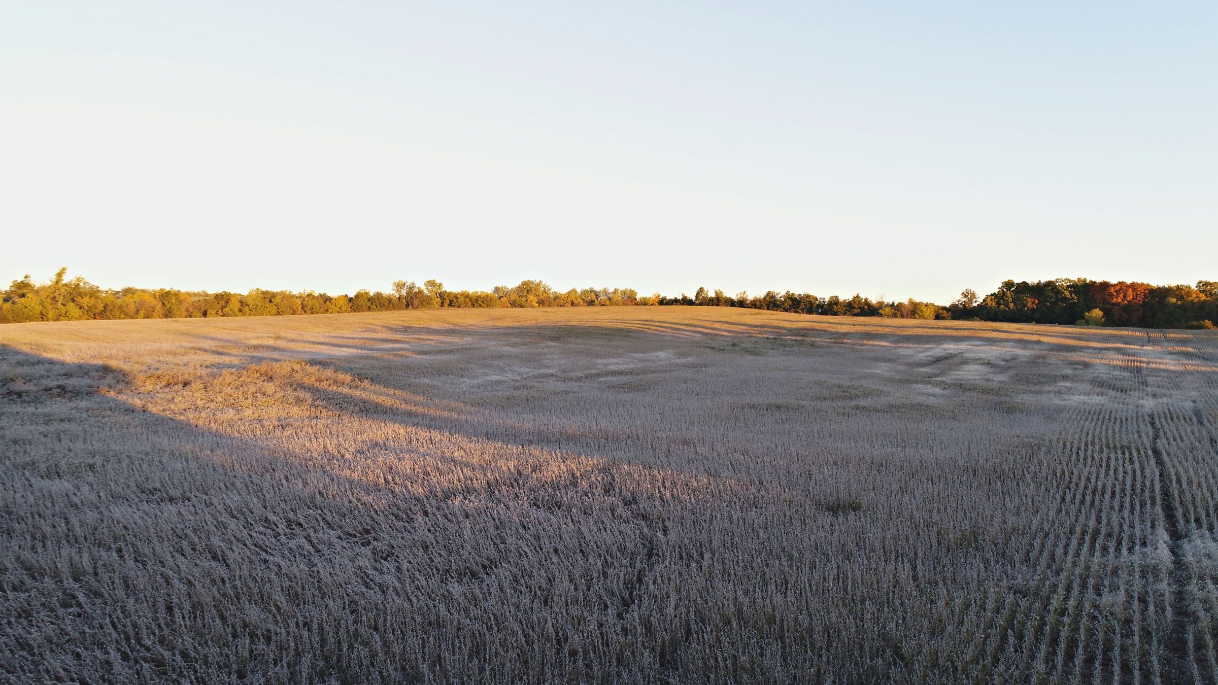 Gentry County Hunting Land For Sale