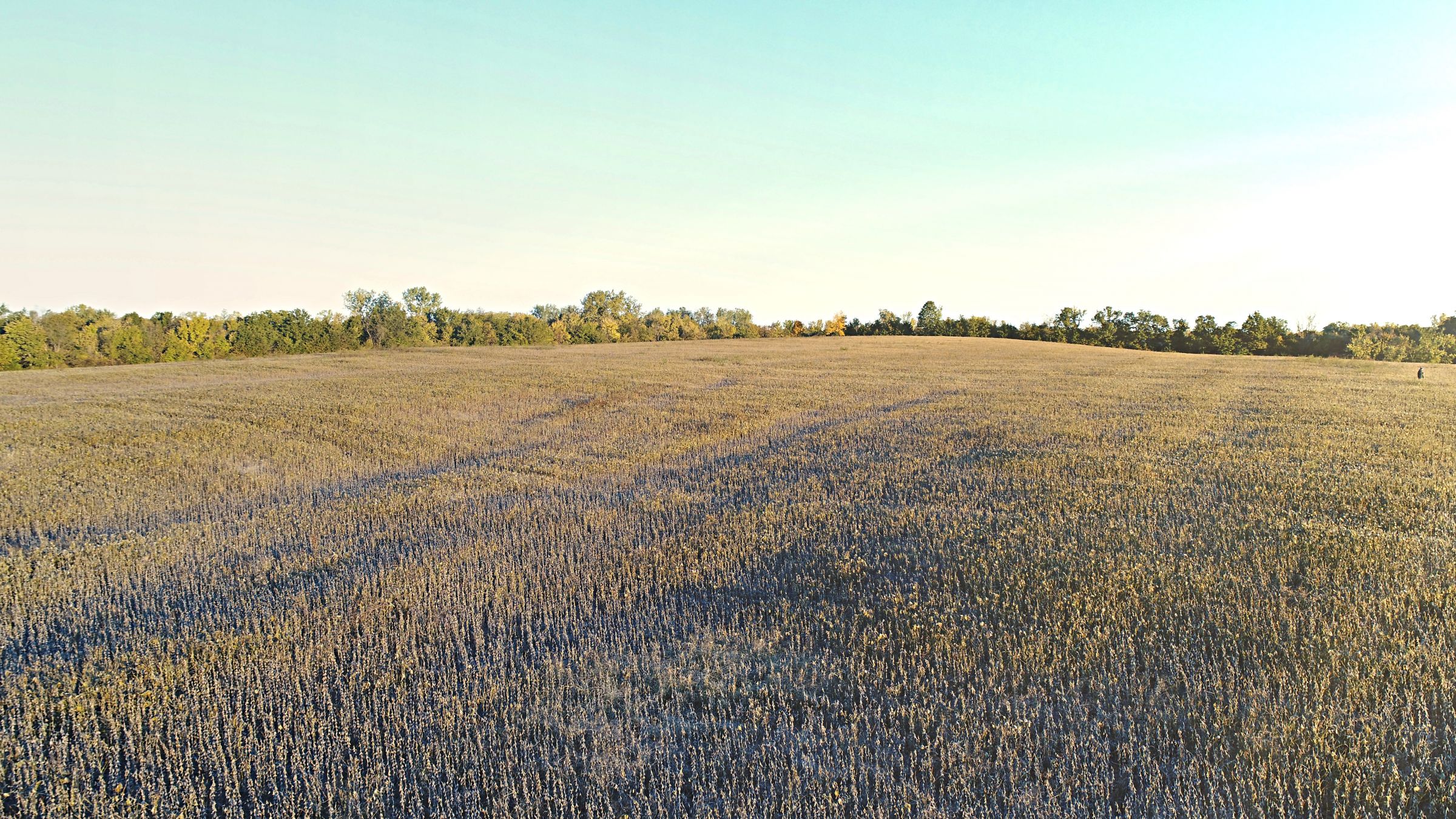 Productive Farms In Northern Missouri