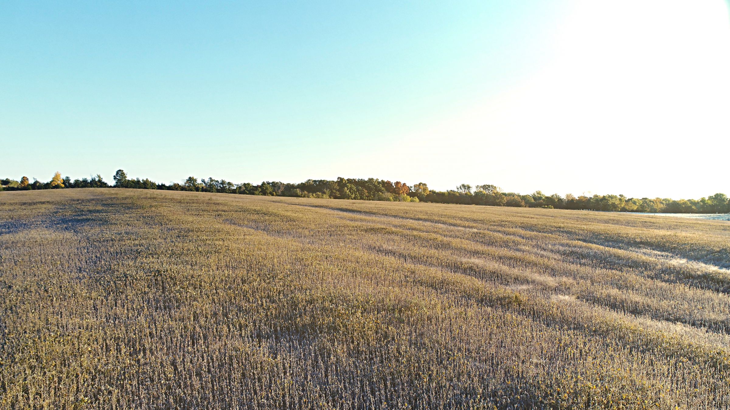 Highly Tillable Farm In Missouri