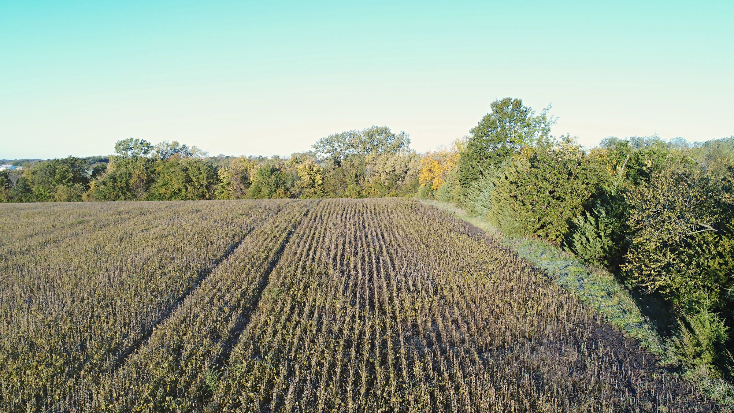 Farmland For Rent In Missouri