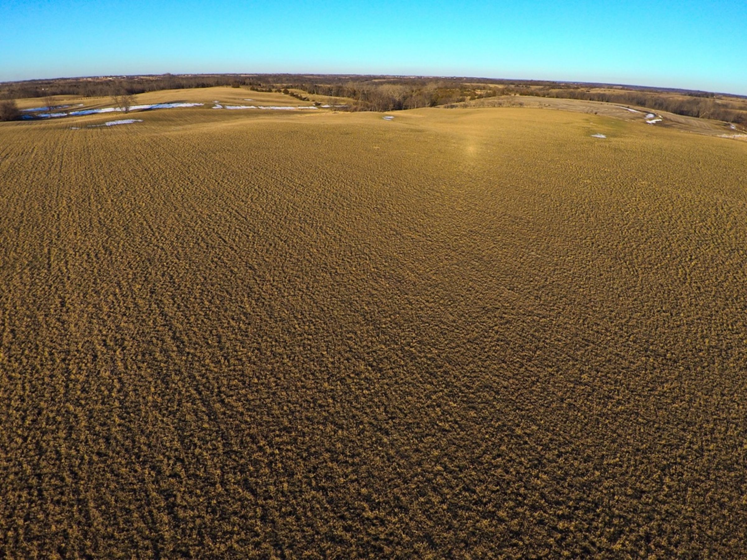 Peoples Company Land for Sale Lucas County Iowa_157th Ave. 50151
