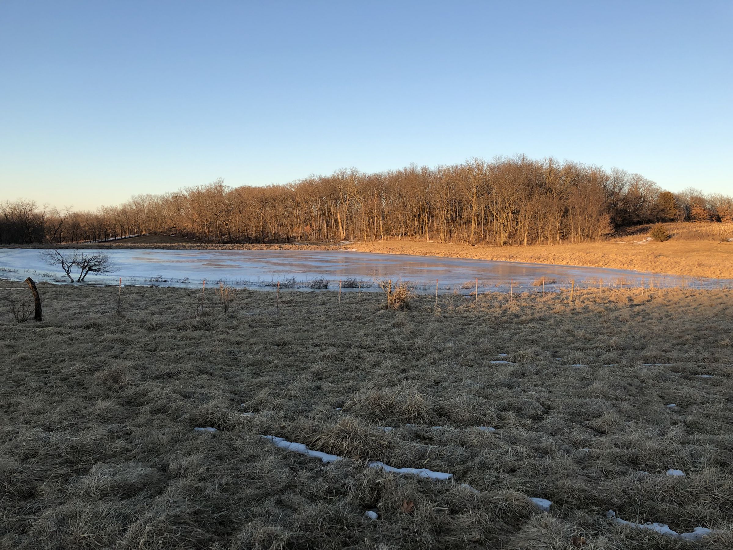 Large pond looking east