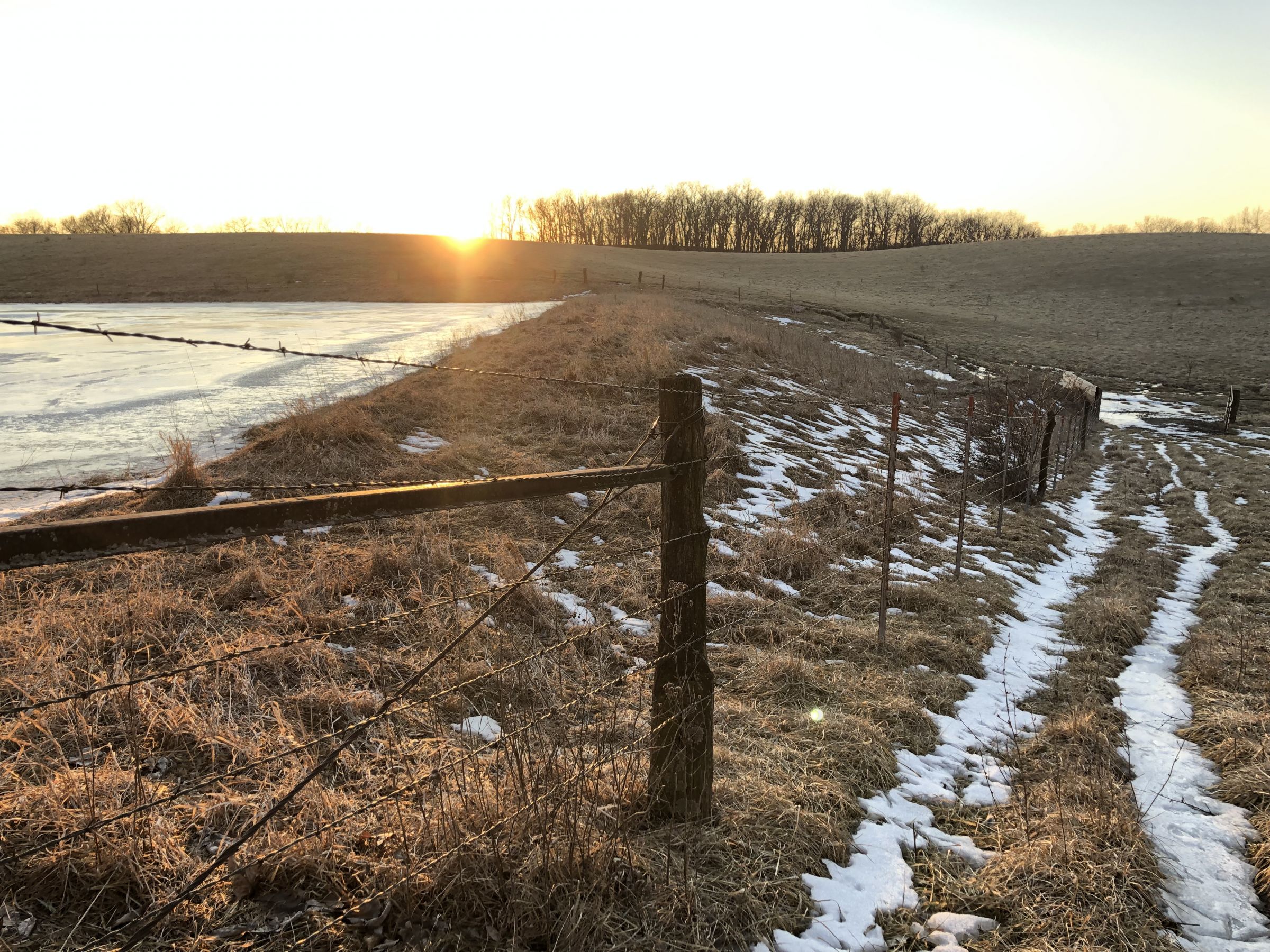 Large pond looking west