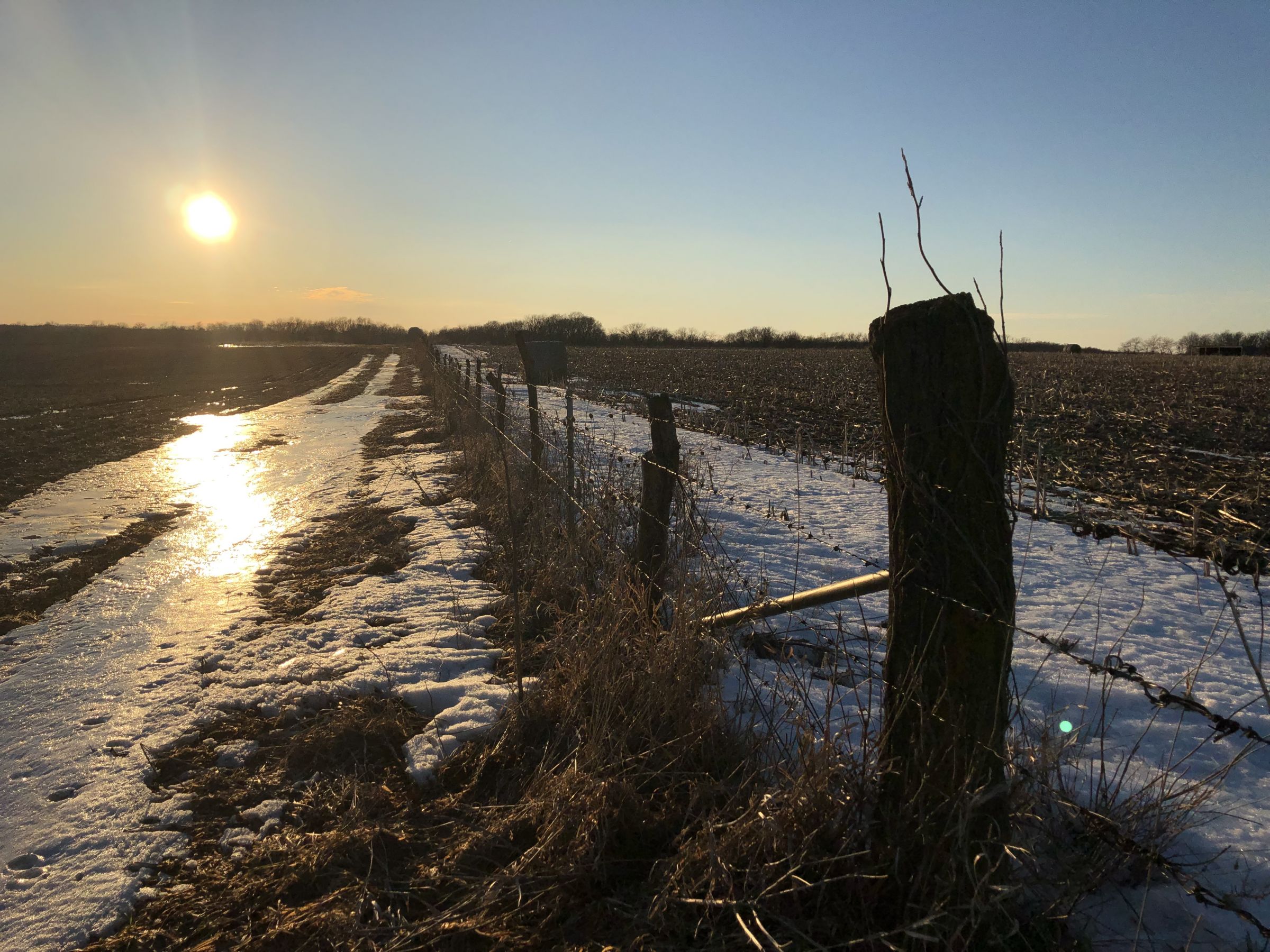 North fence line