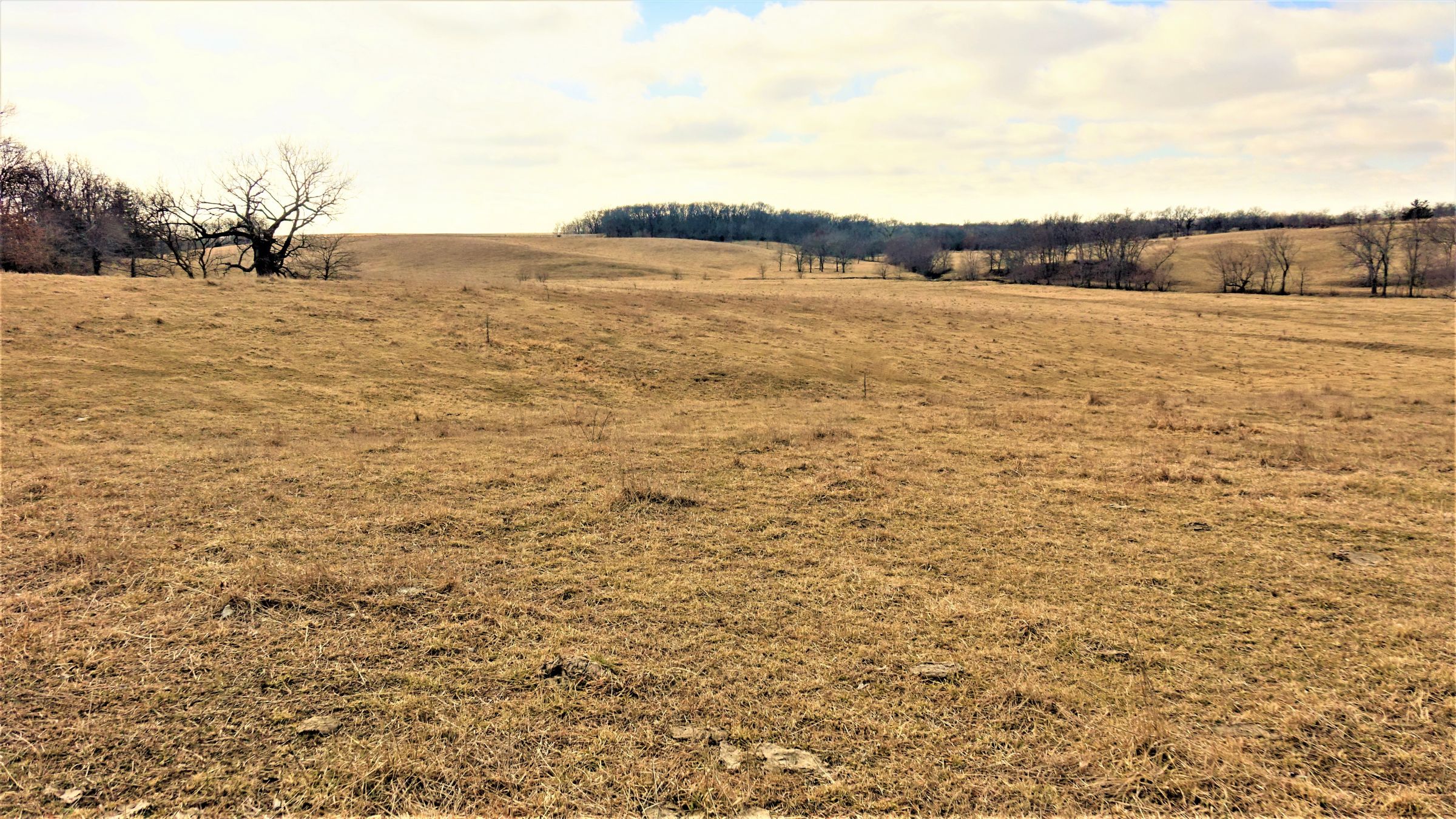 Pasture looking south