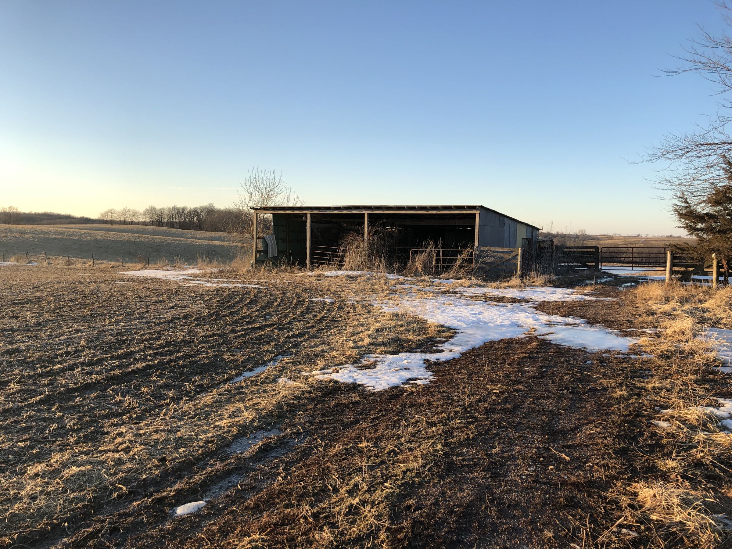 Shed looking north