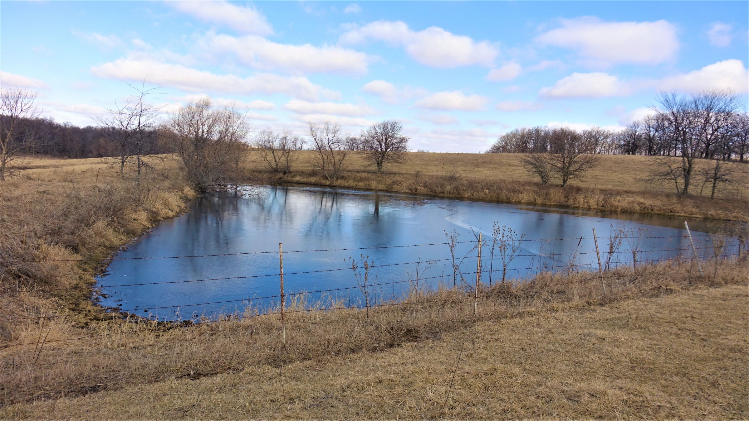 Small pond looking southwest