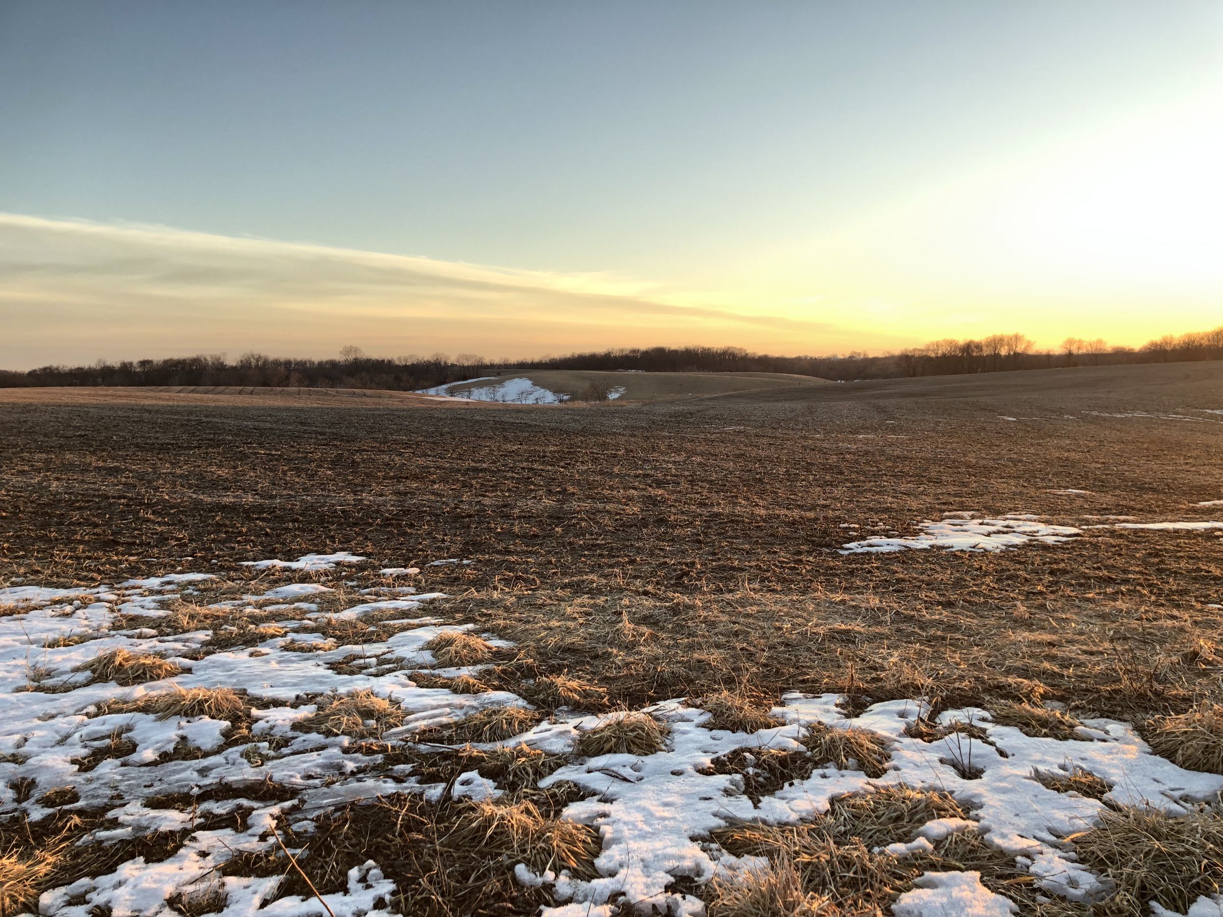 Tillable/Pasture looking southwest