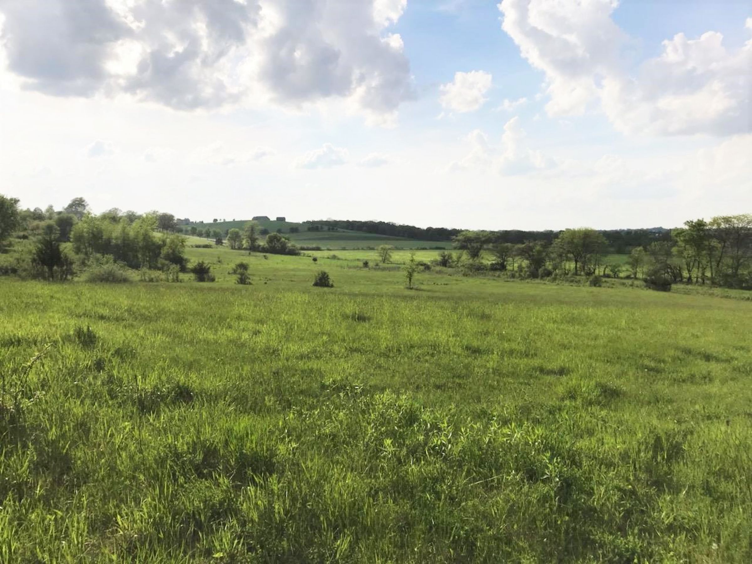 Warren County Iowa Farmland 5