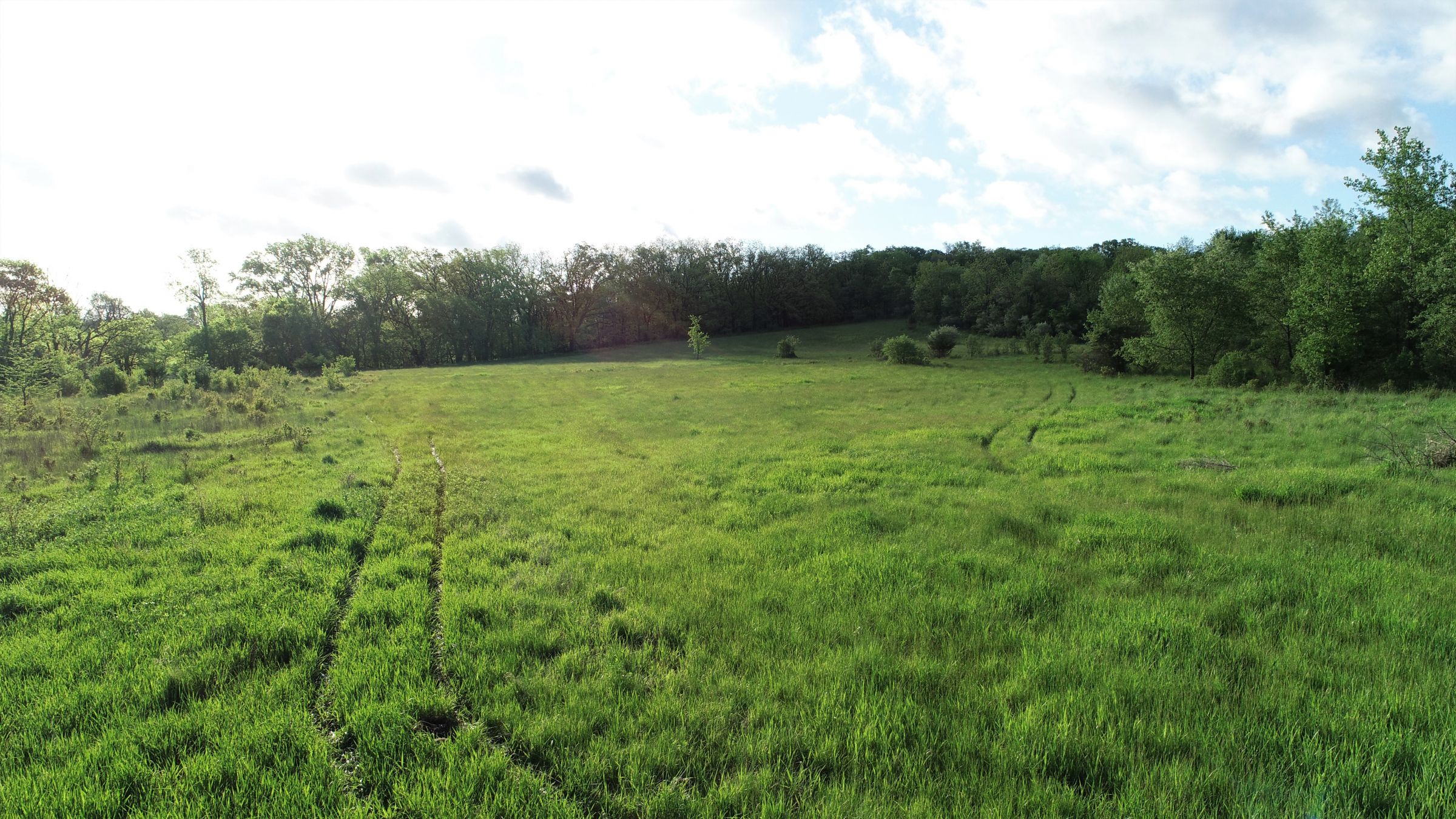 Warren County Iowa Farmland 6