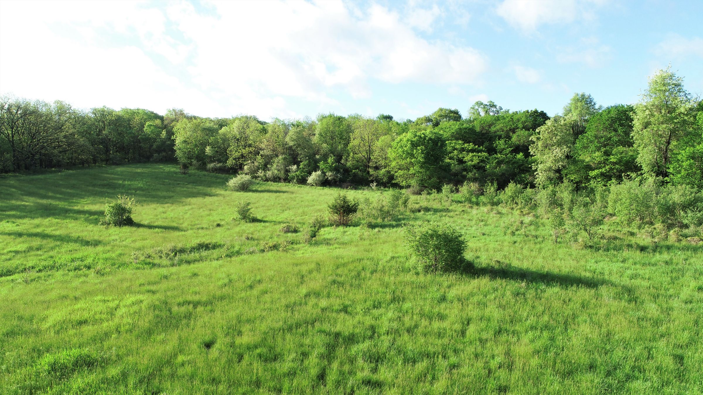 Warren County Iowa Farmland 7