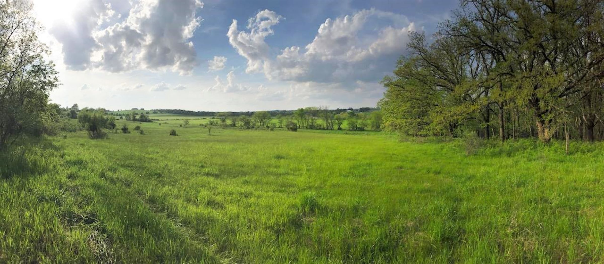 Warren County Iowa Farmland 8