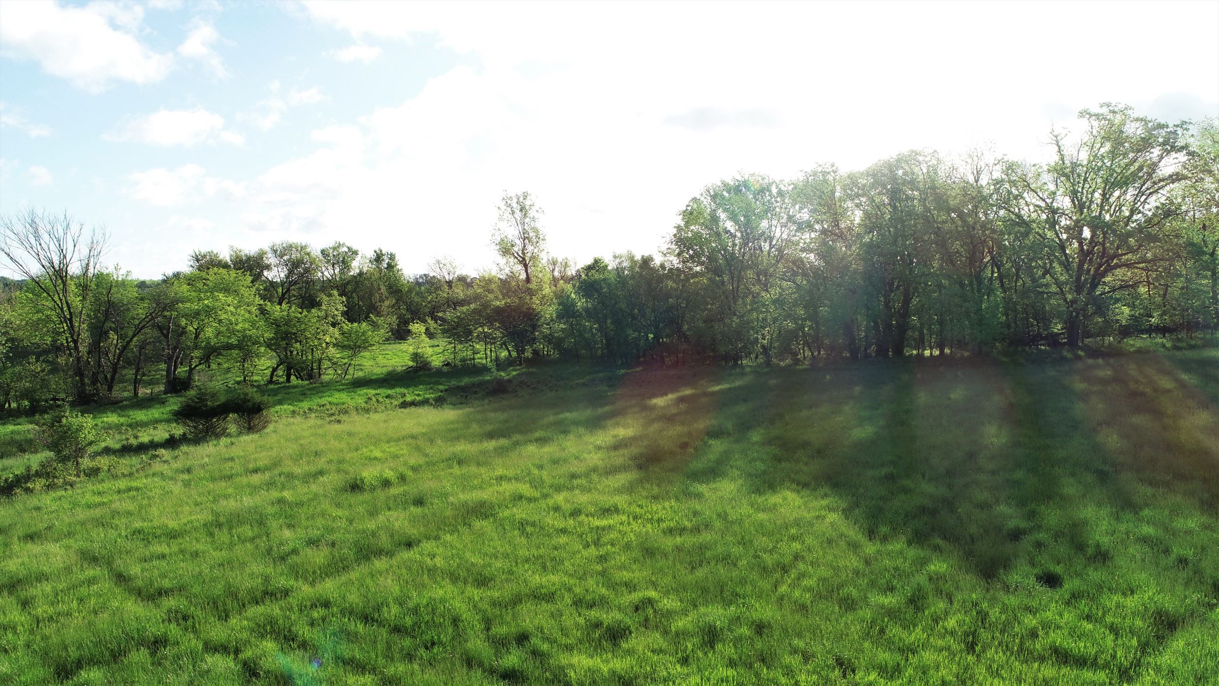 Warren County Iowa Farmland 9