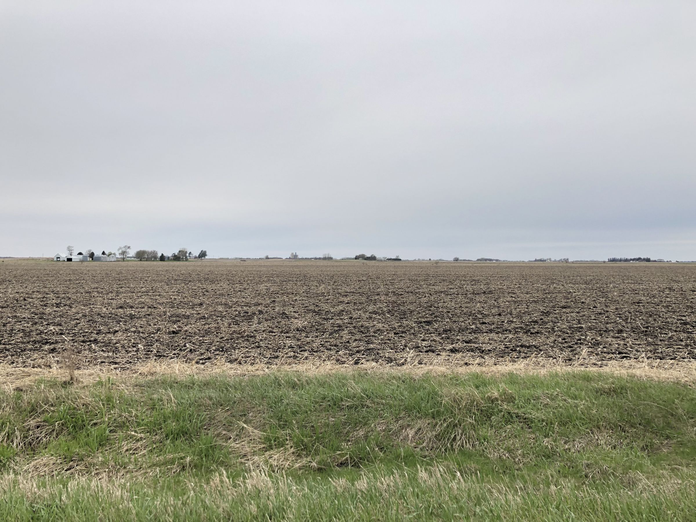 Ground Photo - East Edge Looking West