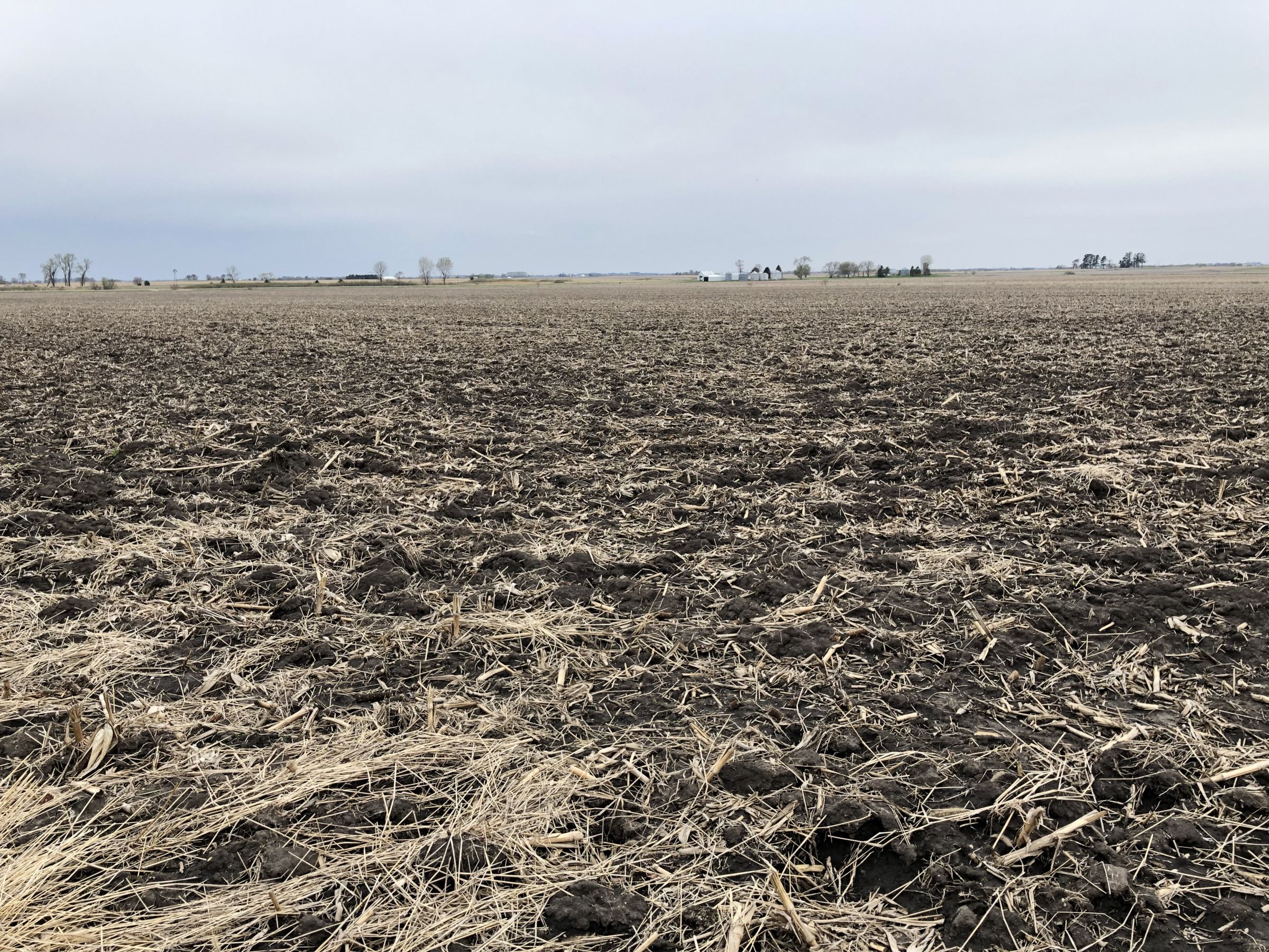 Ground Photo - Northeast Corner