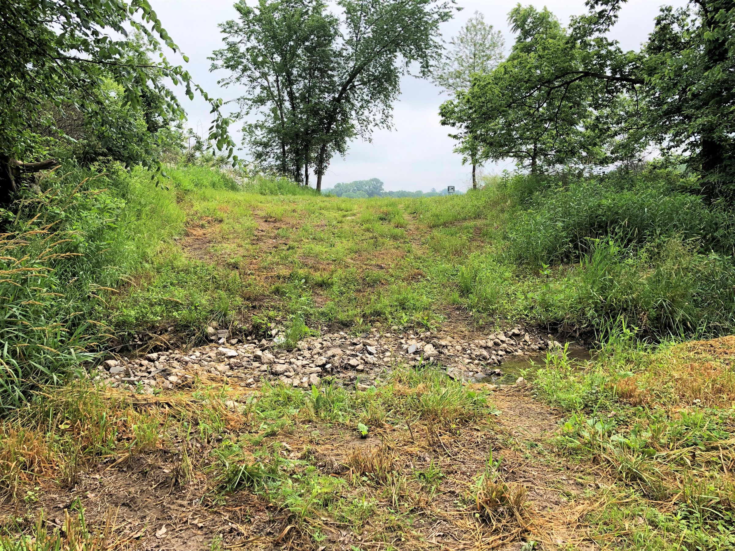 Creek Crossing