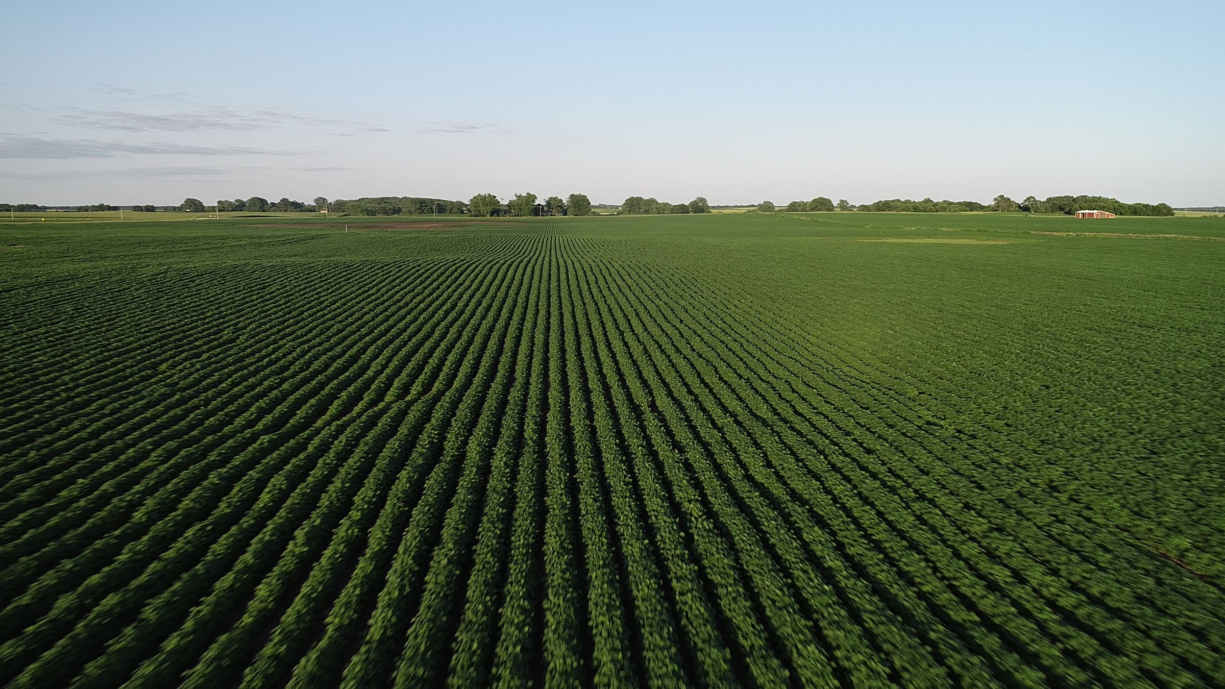 Tract 1 - Boone County Farmland