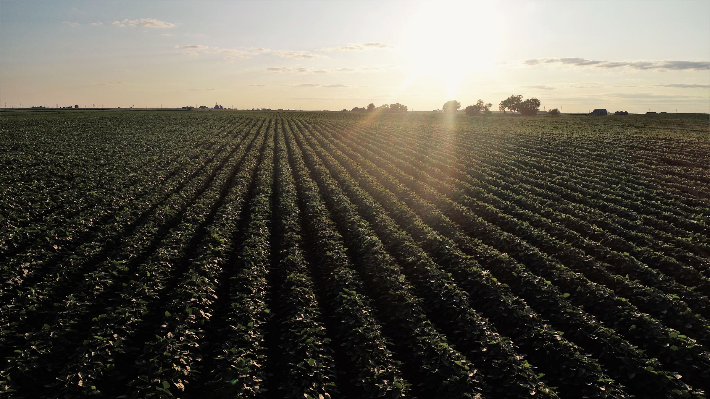 Tract 1 - Boone County Farmland