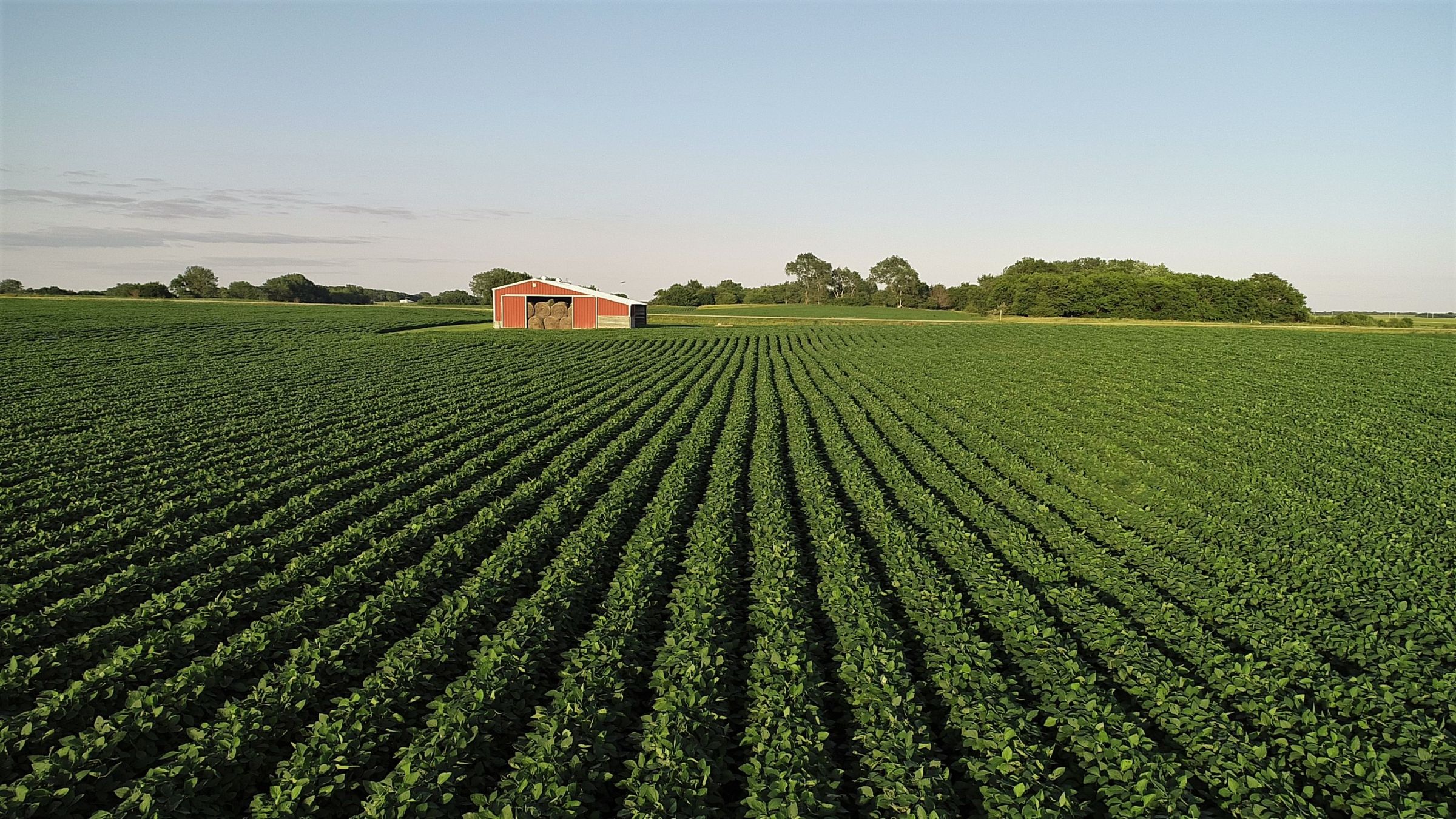 Tract 2 - Boone County Farmland