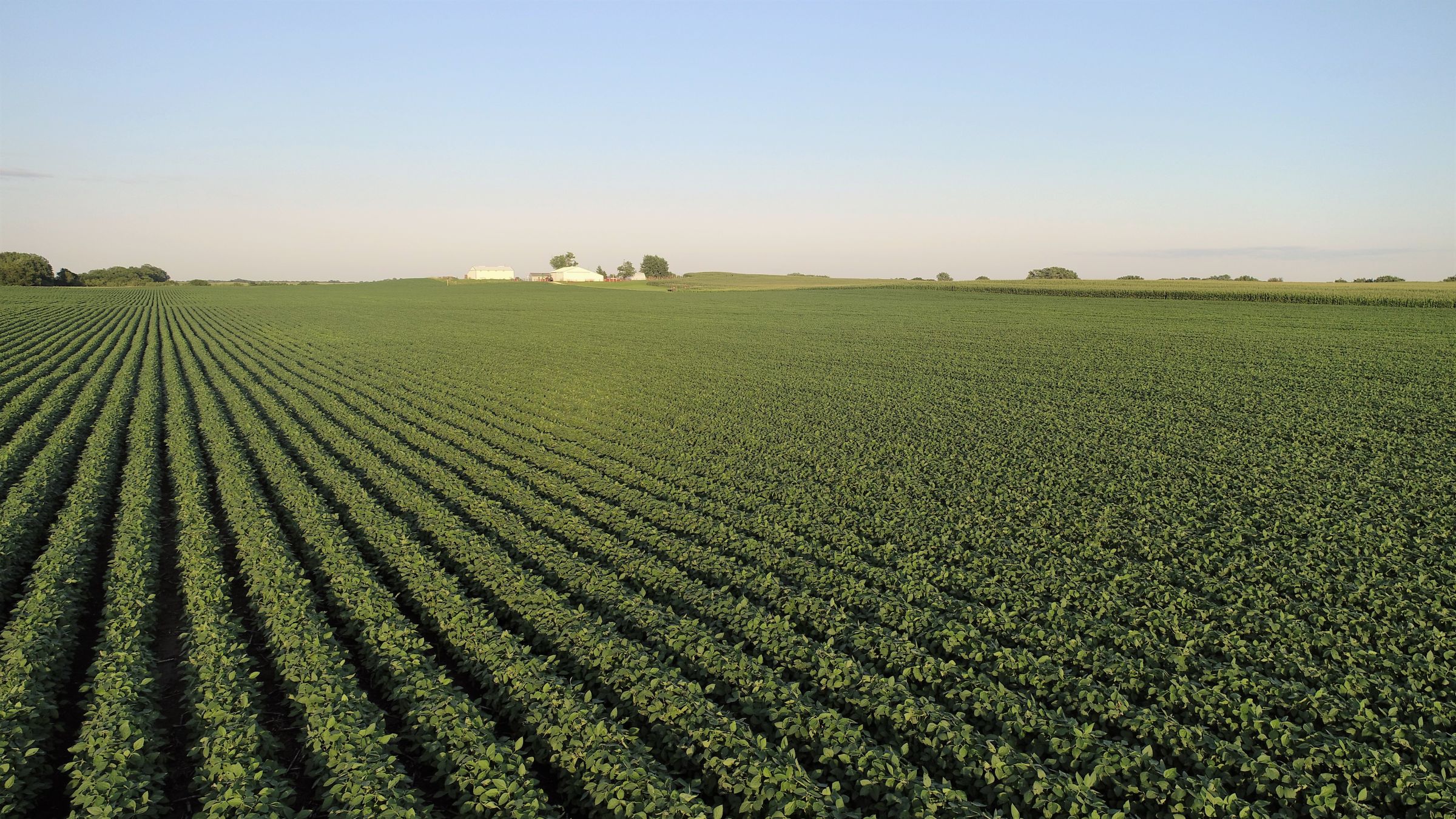 3-county-road-p70-h-avenue-150th-street-pilot-mound-50223-0-2019-07-23-203533.JPG