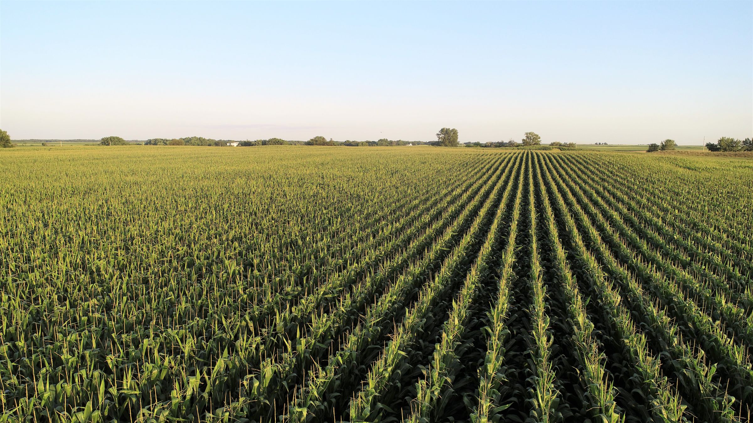 3-county-road-p70-h-avenue-150th-street-pilot-mound-50223-2-2019-07-23-203536.JPG