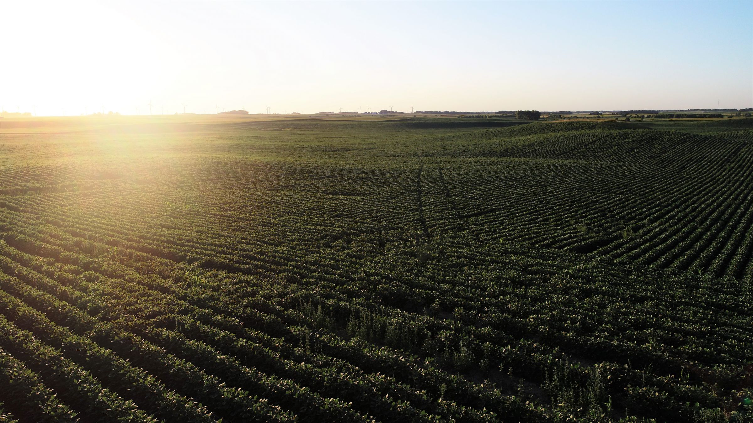 Oehlert Cerro Gordo County Farmland Tract 2 Photo 3