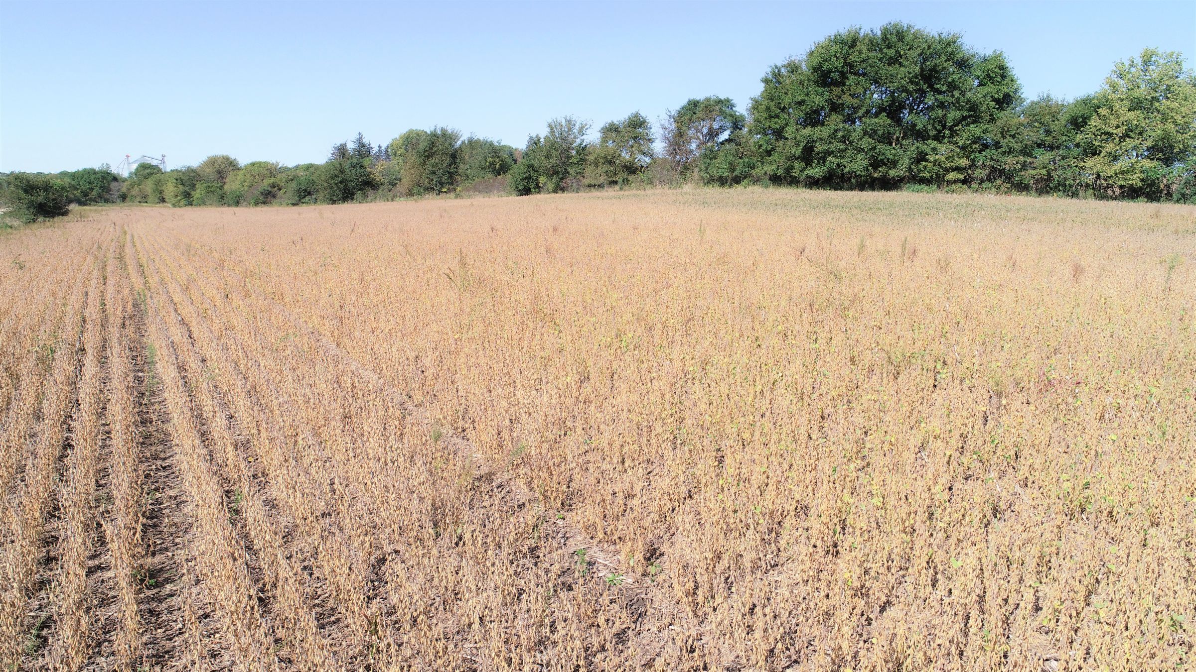 1-white-pole-road-350th-st-casey-50115-0-2019-10-09-171903.jpg