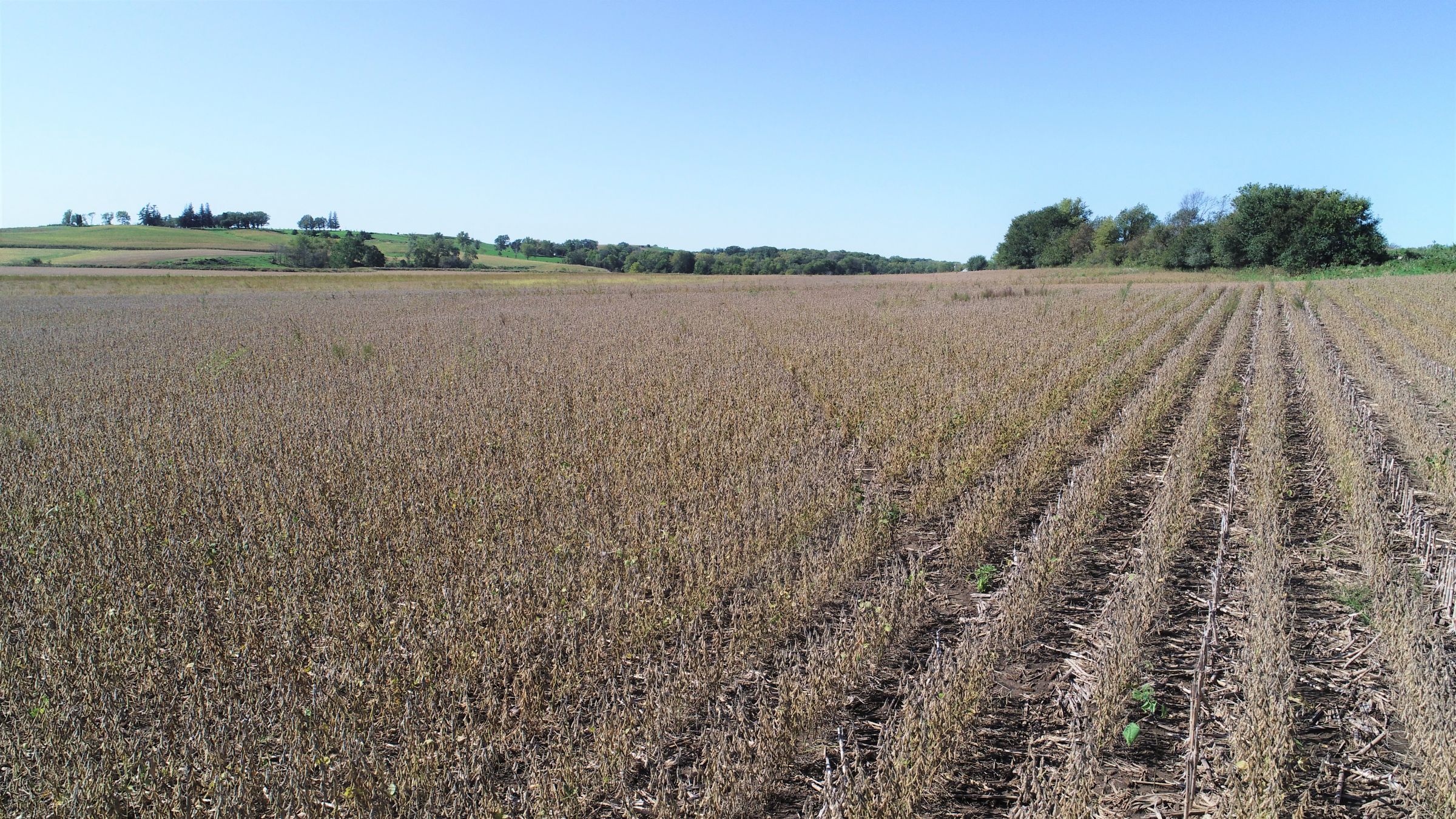 1-white-pole-road-350th-st-casey-50115-0-2019-10-14-182427.jpg