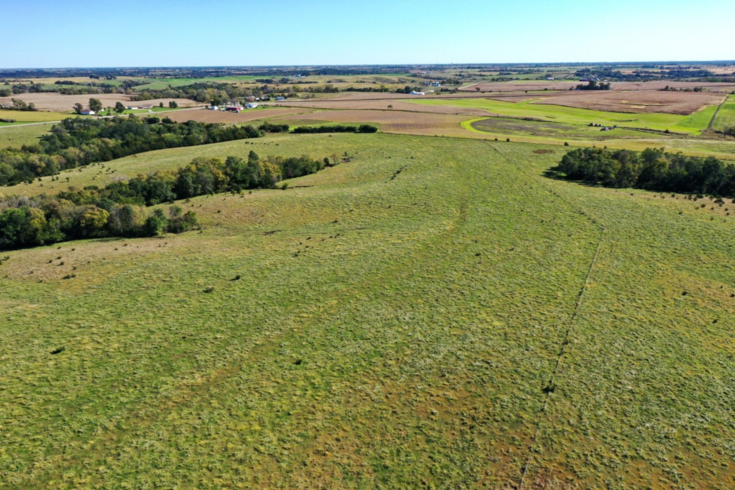 Peoples Company Land for Sale-Clarke County-000 Hwy. 69 Ave. Osceola, IA 50213