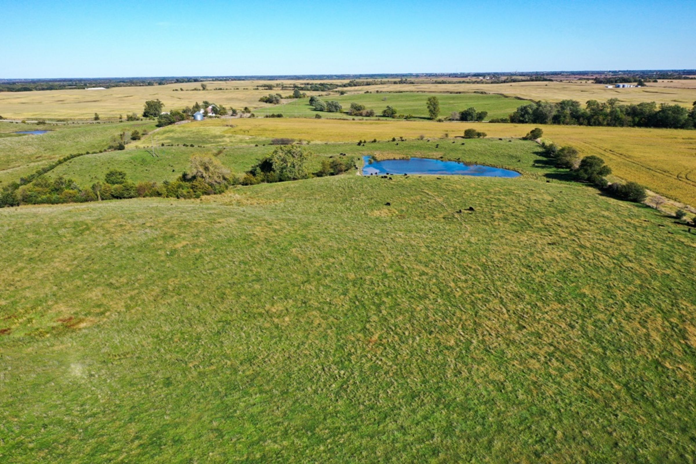 Peoples Company Land for Sale-Clarke County-000 170th Ave. Osceola, IA 50213