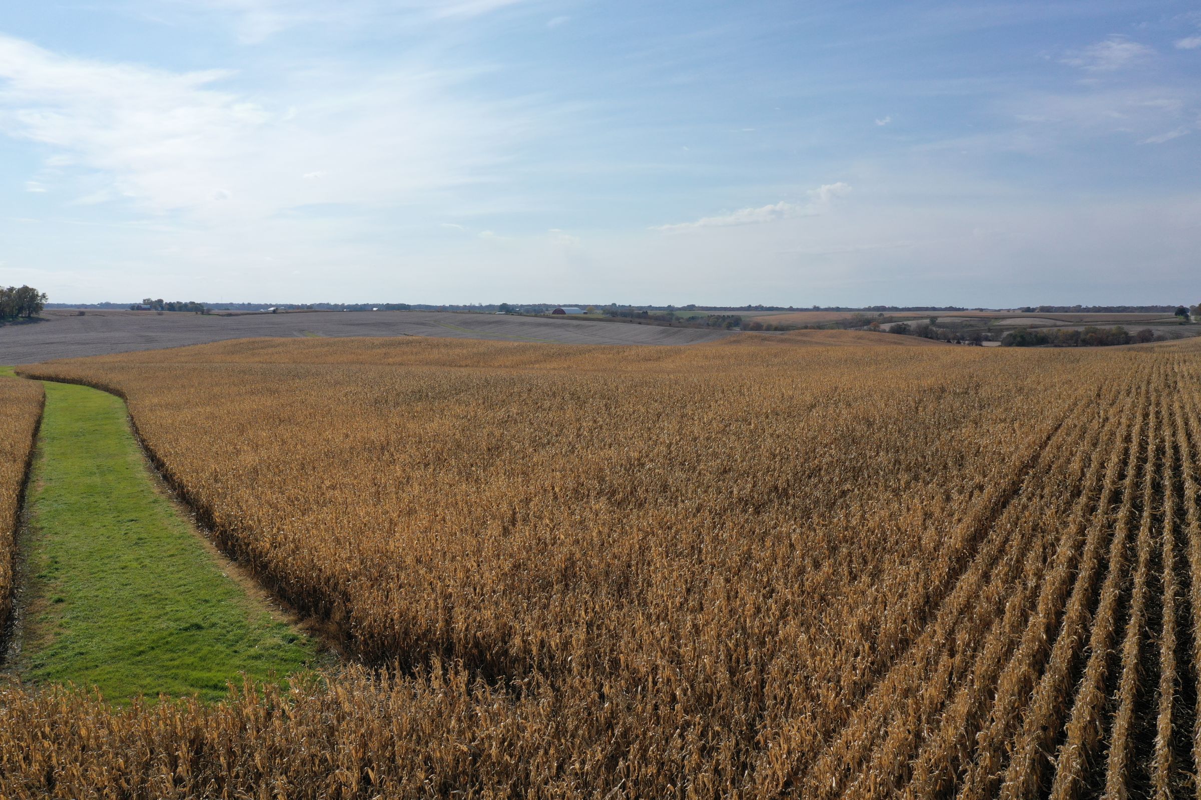 14747-iowa-highway-14-newton-50208-7-2019-10-28-212702.JPG