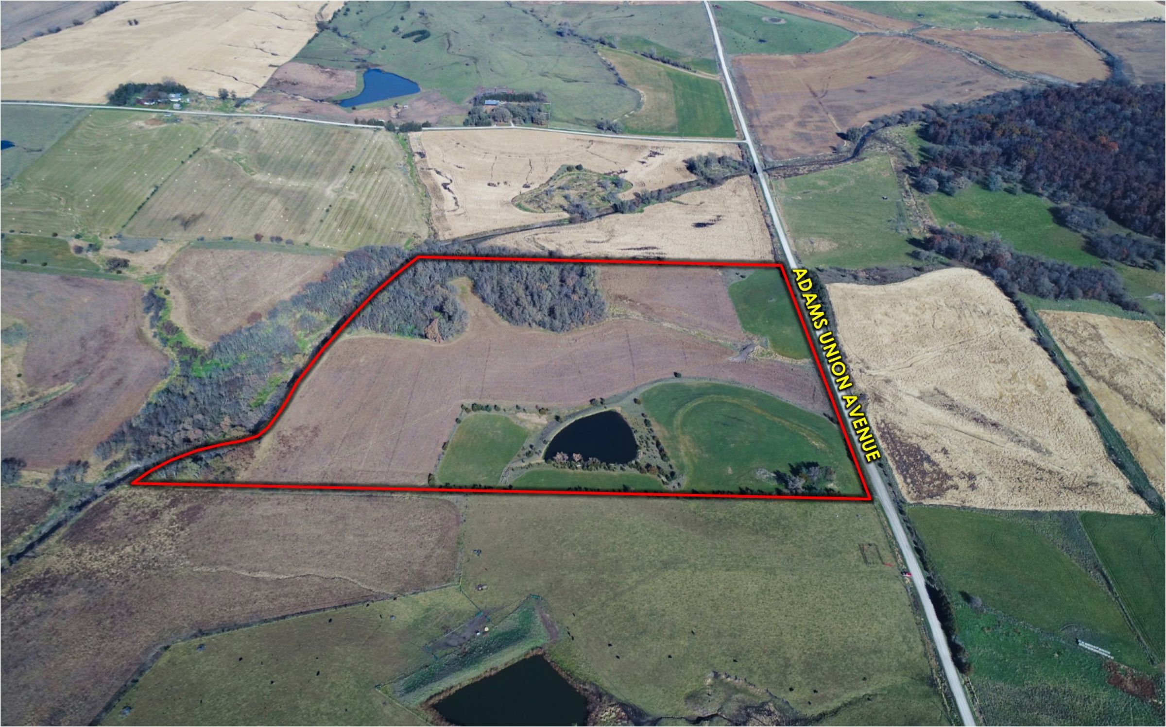 Peoples Company Land for Sale-14781-adams-union-avenue-kent-50851