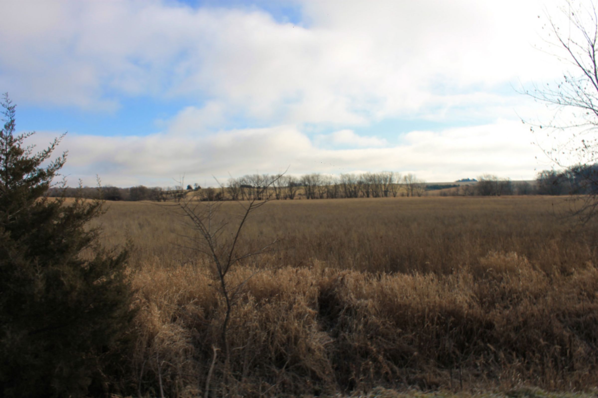 Peoples Company Land for Sale-14781-adams-union-avenue-kent-50851