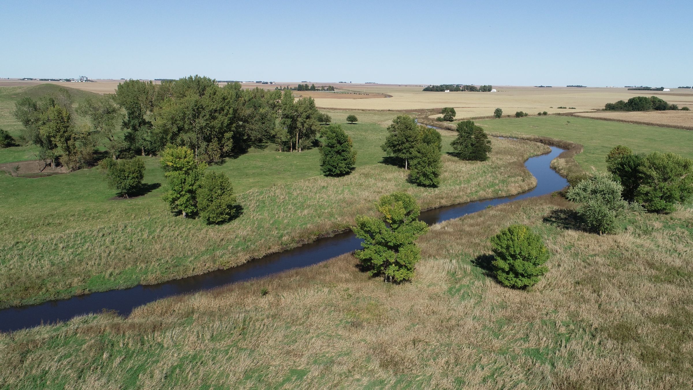 Willow Creek Riparian Area 1