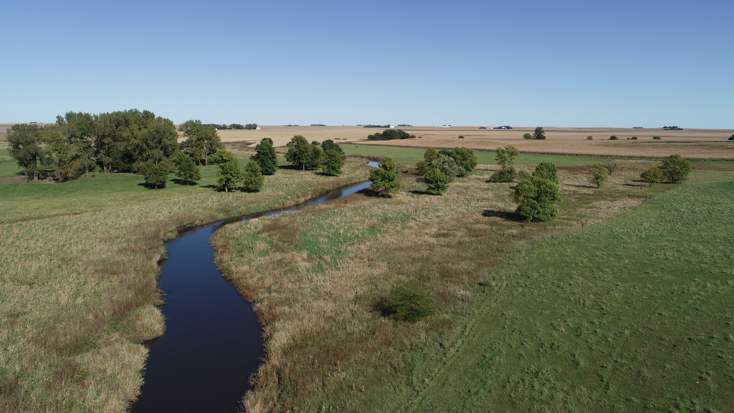 Willow Creek Riparian Area 2