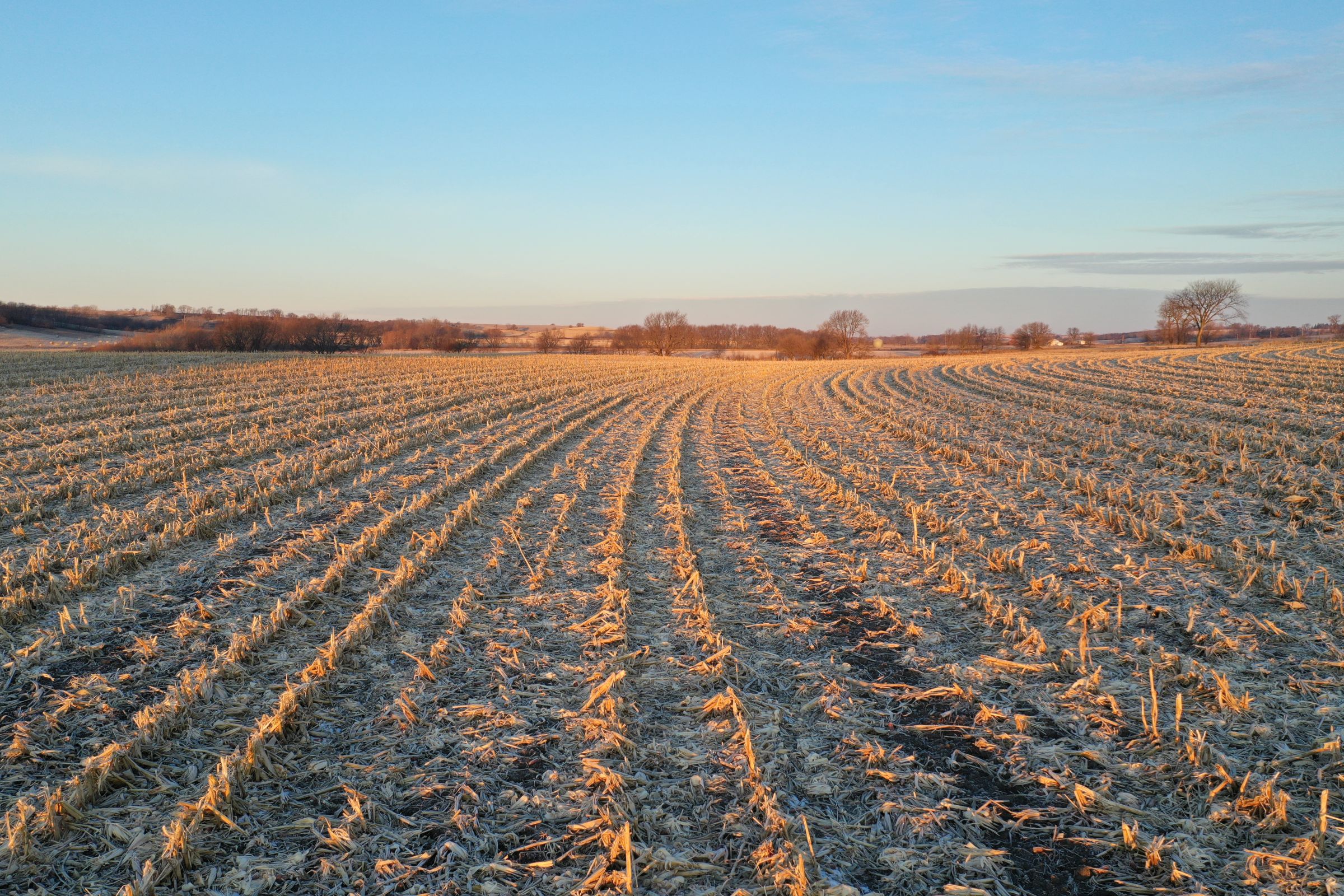 Row Crop - Corn1 in Guthrie Center, Iowa