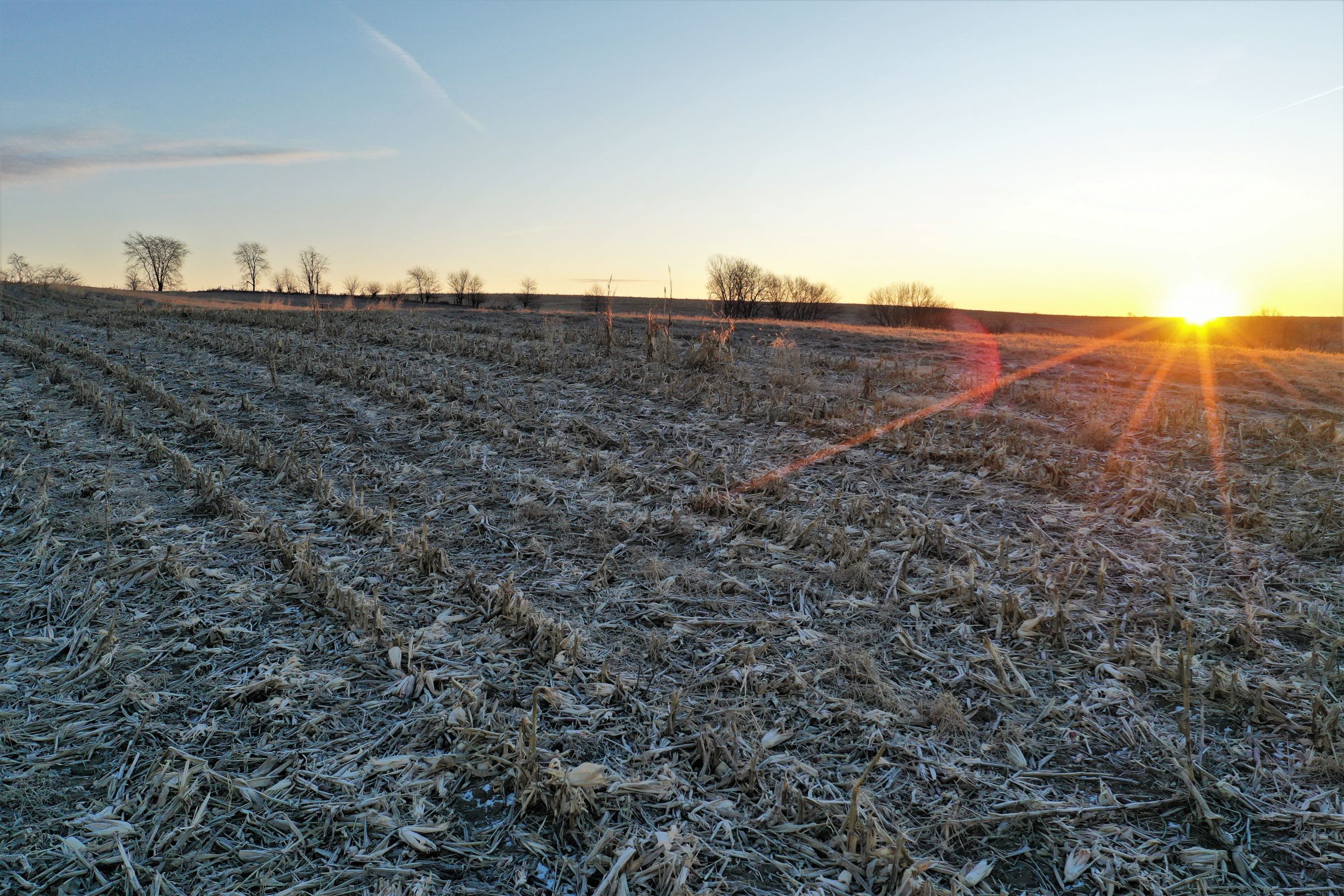 Row Crop - Corn2 in Guthrie Center, Iowa