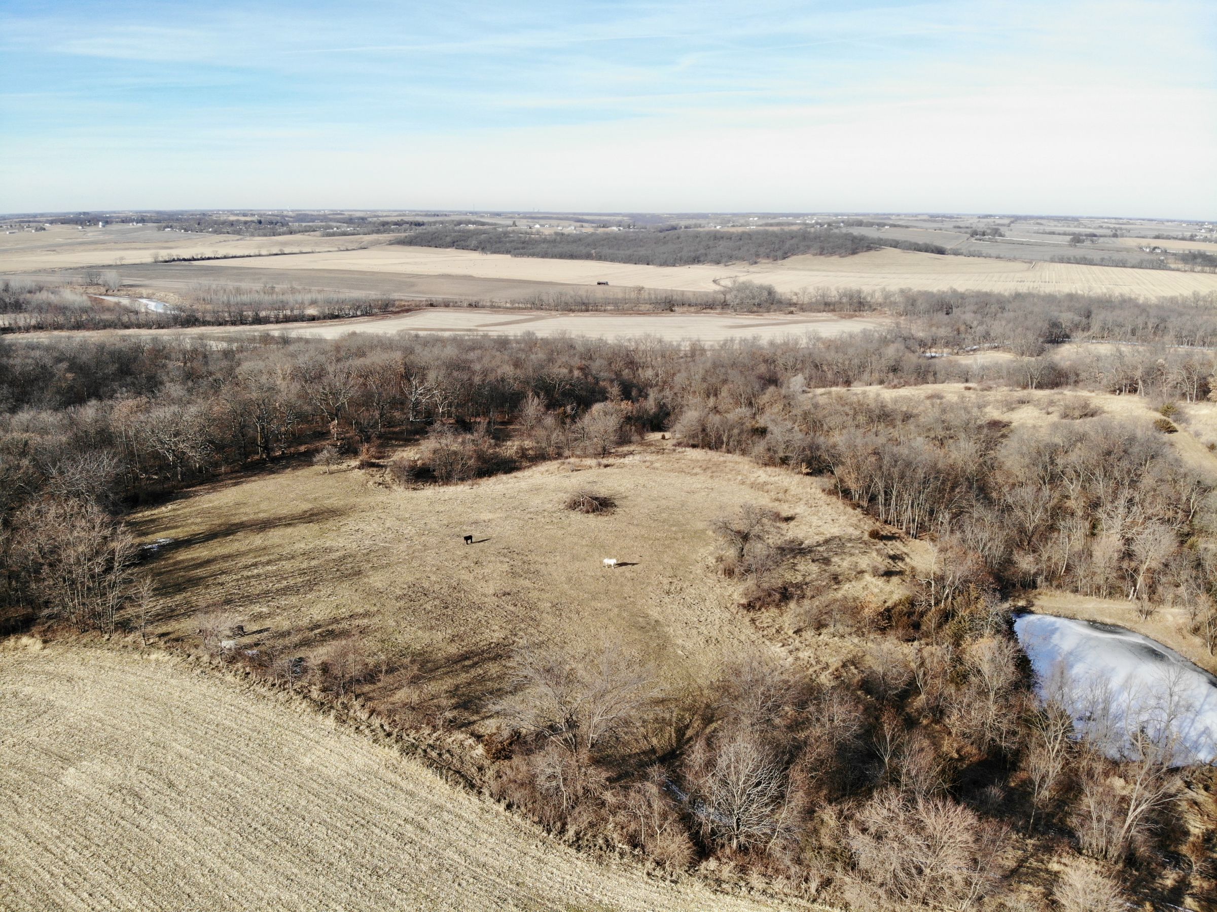 14799-keokuk-st-indianola-50125-5-2019-12-20-025352.jpg