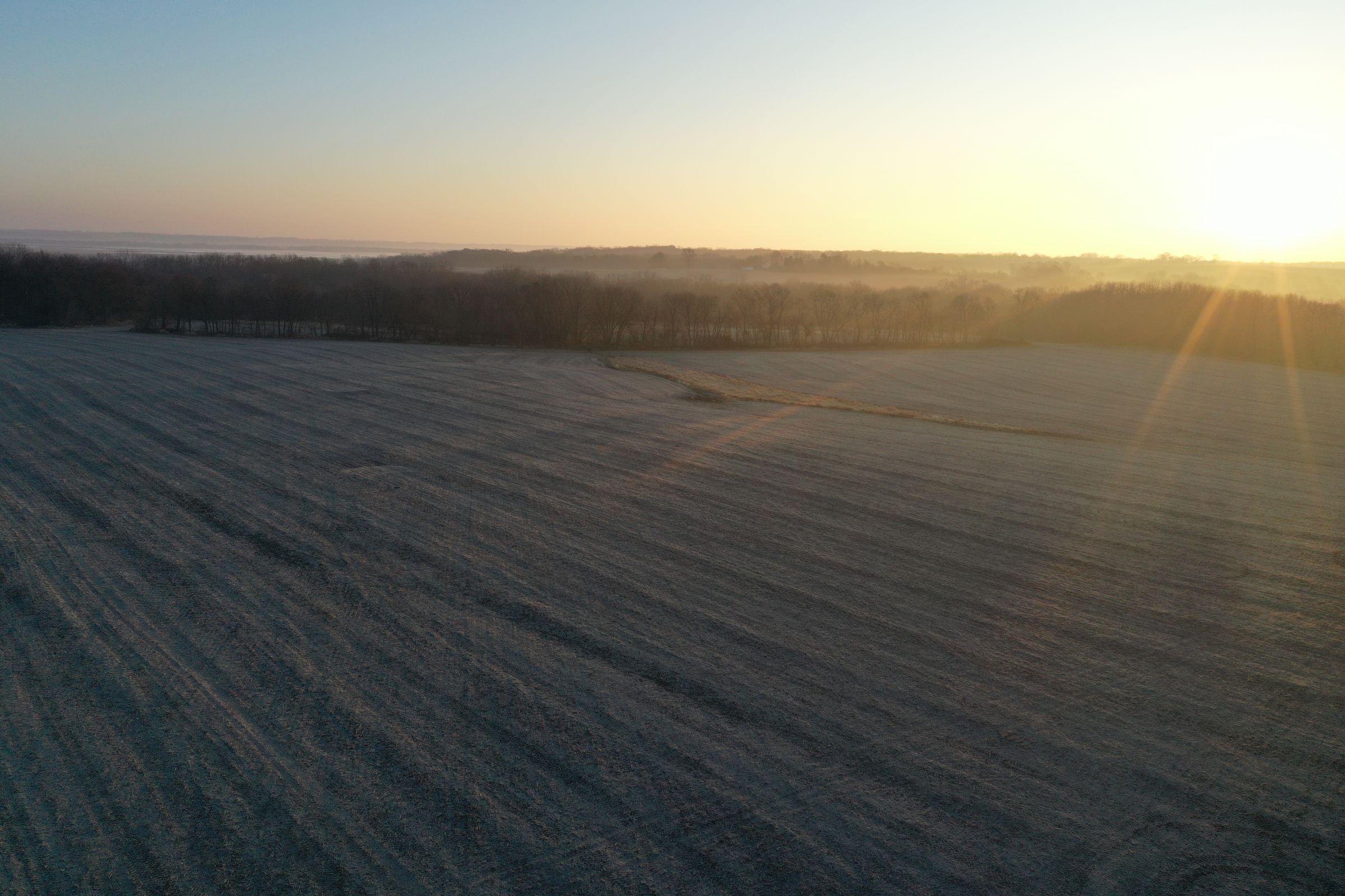 Row Crop Field1 - Swan, Iowa