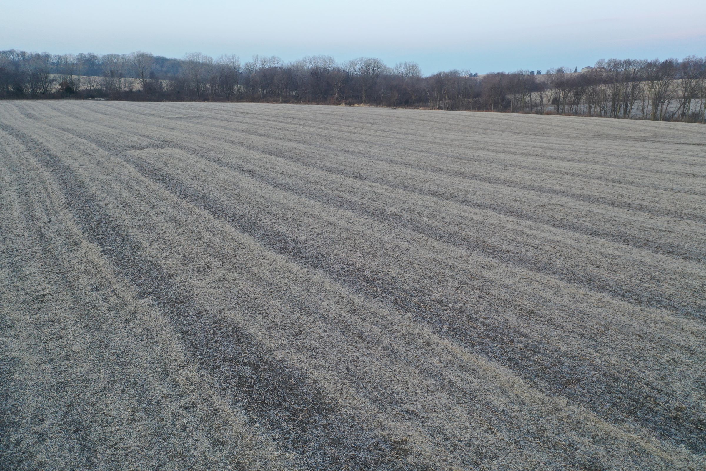 Row Crop Field10 - Swan, Iowa