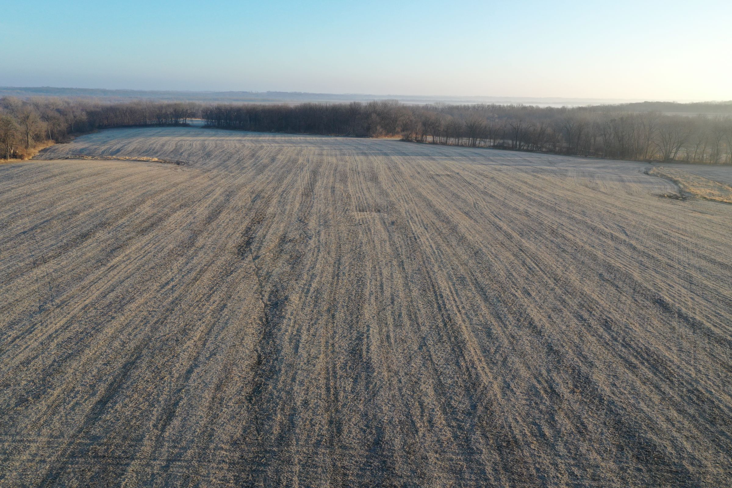 Row Crop Field11 - Swan, Iowa